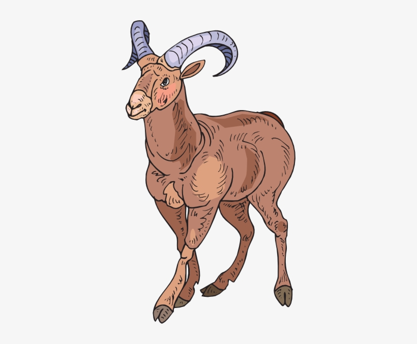 Desert Bighorn Sheep Clipart, transparent png