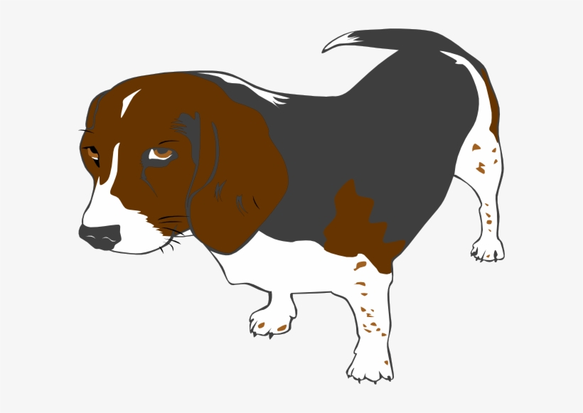 How To Set Use Beagle Dog Clipart - Dog Clipart, transparent png