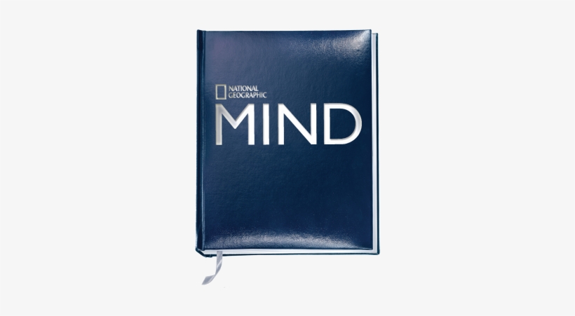 More Views - Gift, transparent png