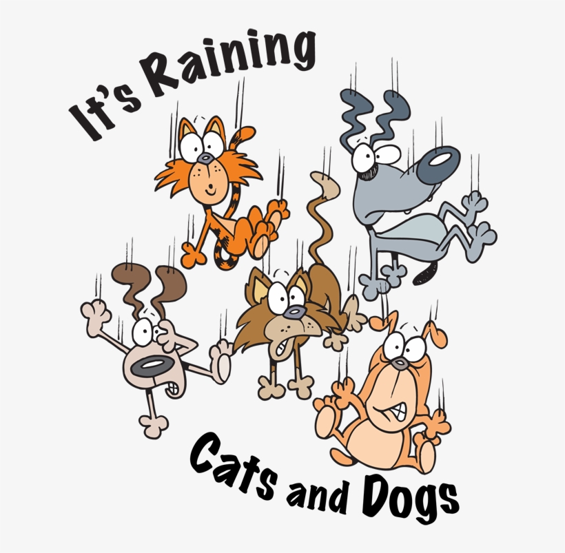 Raining Cats And Dogs Clipart - Raining Cats And Dogs, transparent png