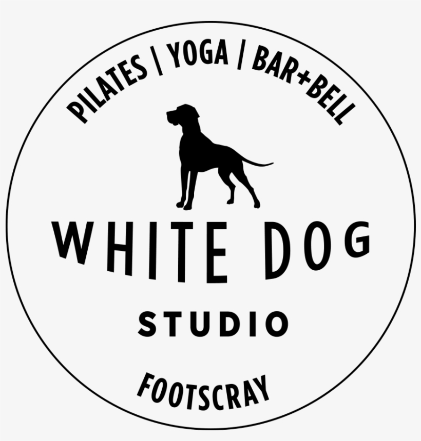 Bracco Italiano, transparent png