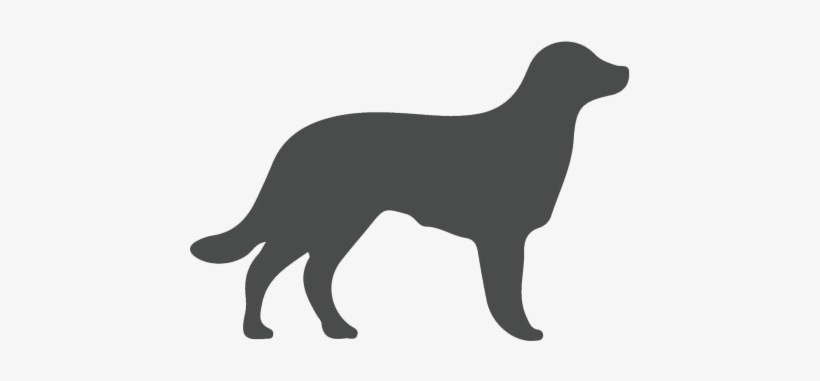 Daily Support Dog - Dog Silhouette Hd, transparent png