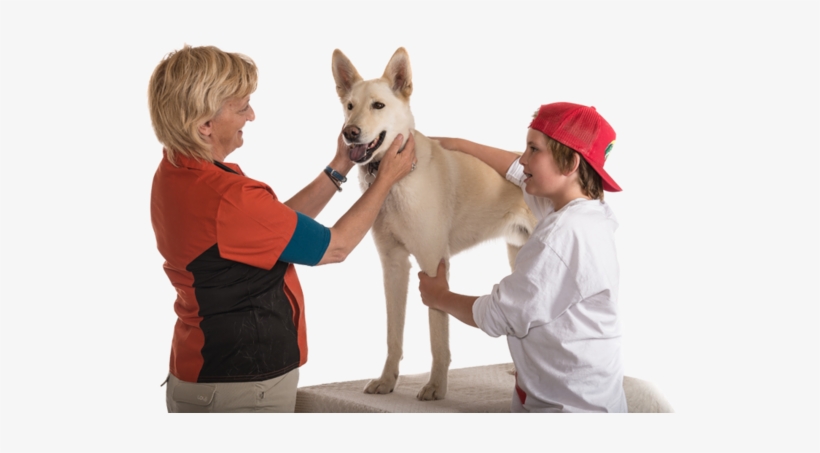 Whitedog, transparent png