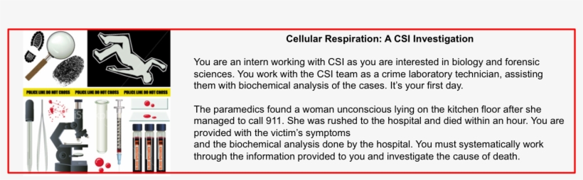 Berends And Stem Faculty Consulted With Ctle Instructional - Forensic Science, transparent png