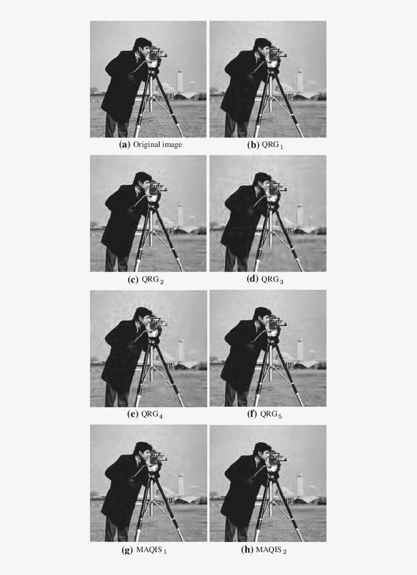 Reconstructed Cameraman 2 Images - Algorithms For Approximation By Armin Iske, transparent png