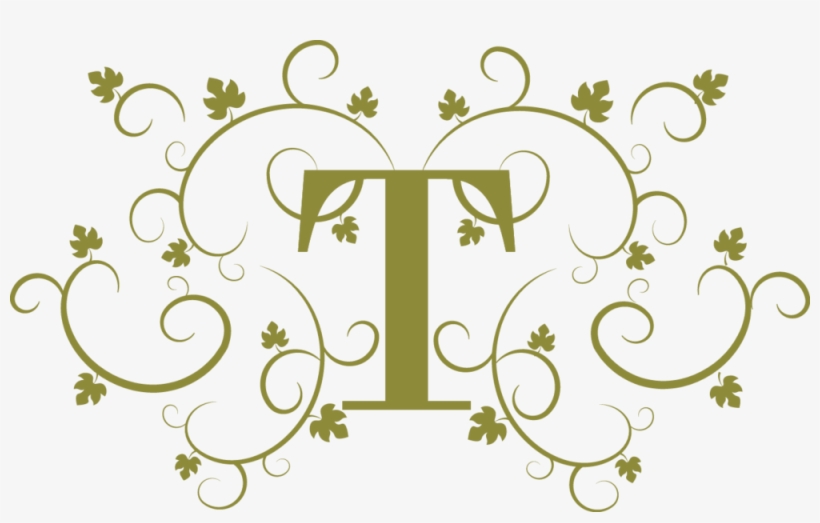 I Decided To Name The Brand Thierry, I Wanted To Reflect - Portable Network Graphics, transparent png