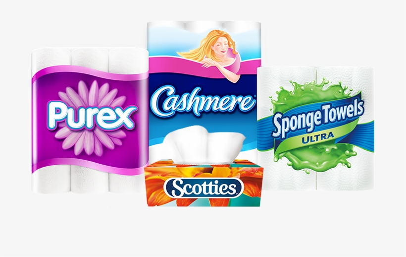 Win A 1 Year Supply - Spongetowels Ultra Choose-a-size Paper Towels, transparent png