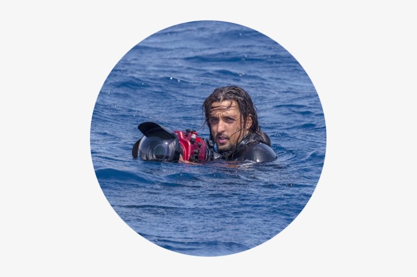 Sergiprofile - Sea, transparent png