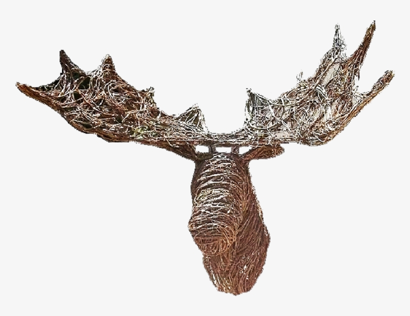 Grapevine Moose Head, transparent png