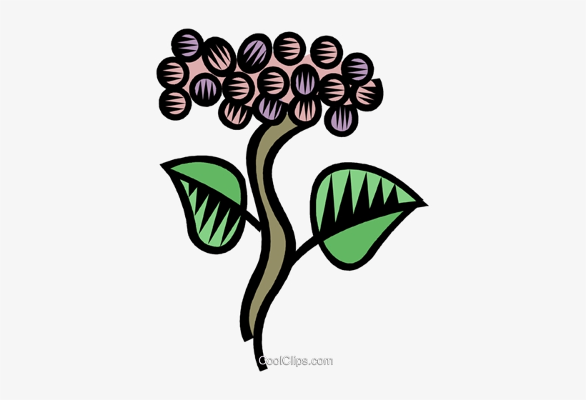 Grape Vines Royalty Free Vector Clip Art Illustration, transparent png