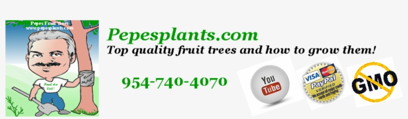 Youtube, transparent png