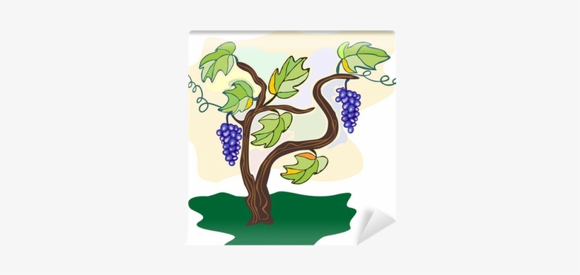 Grape, transparent png