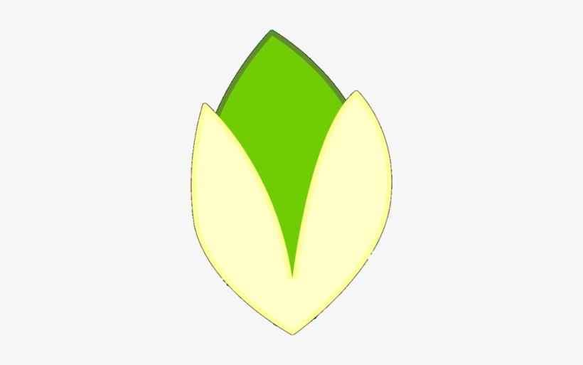 Pistachio Old Body - Bfdi Leafy Old Body, transparent png