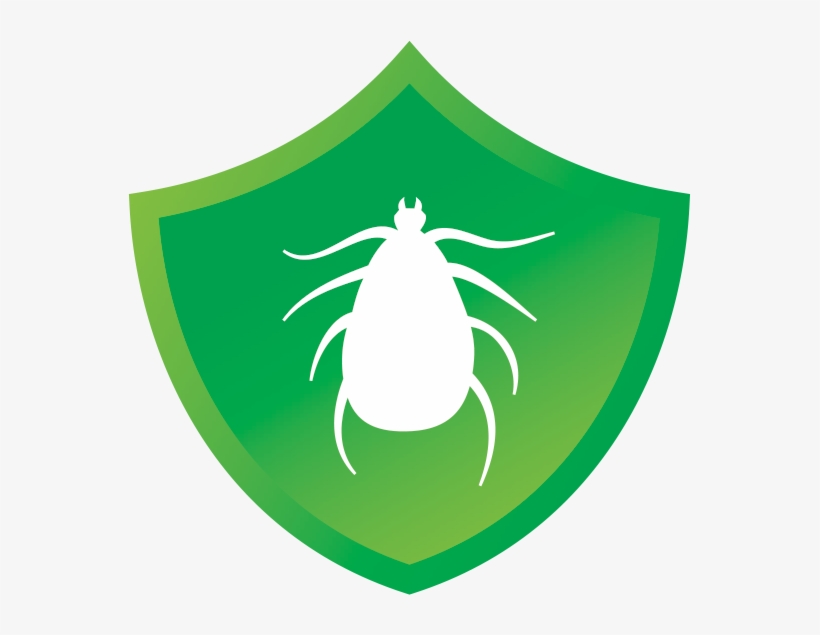 New Chewable Flea & Tick Product For Dogs - Tick, transparent png