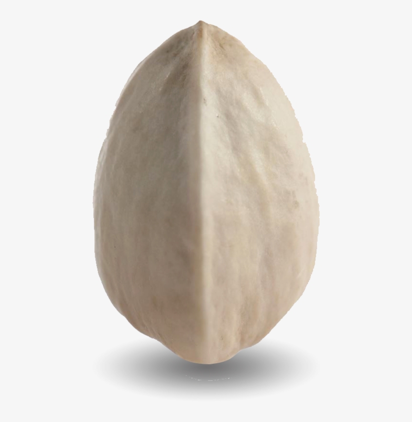 These Are Pistachios That Haven't Opened Naturally - Eggplant, transparent png