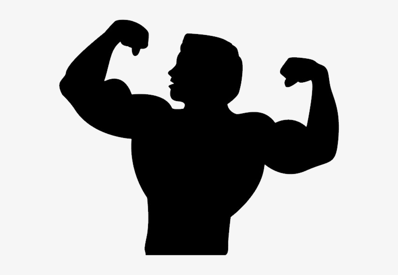 Muscle Png - Fitness Point App, transparent png