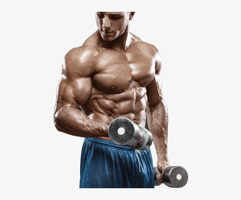 How Does My Diet Effect My Arms Growing Or Not - Beast Pump Muscle Training Bands - Occlusion Elastic, transparent png