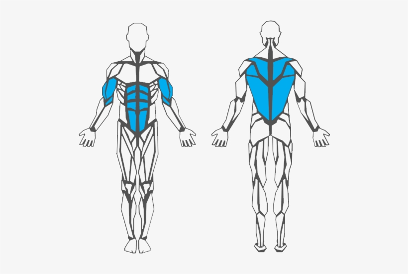 Our Multifaceted Trainers Will Give You Wings And Bring - Illustration, transparent png