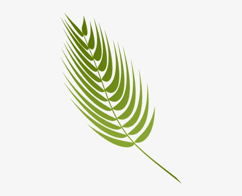 Lent, Palm, Holy, Jesus, Faith - Stock.xchng, transparent png