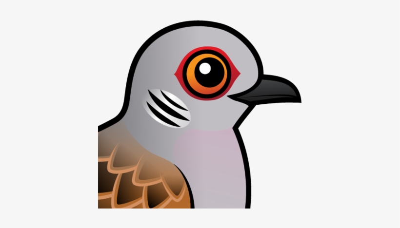 About The European Turtle Dove - Pigeons And Doves, transparent png