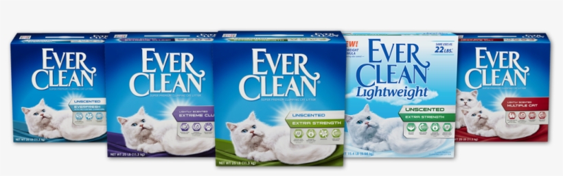 What's The Right Litter For Your Cat - Ever Clean Ever Fresh Litter With Activated Charcoal, transparent png