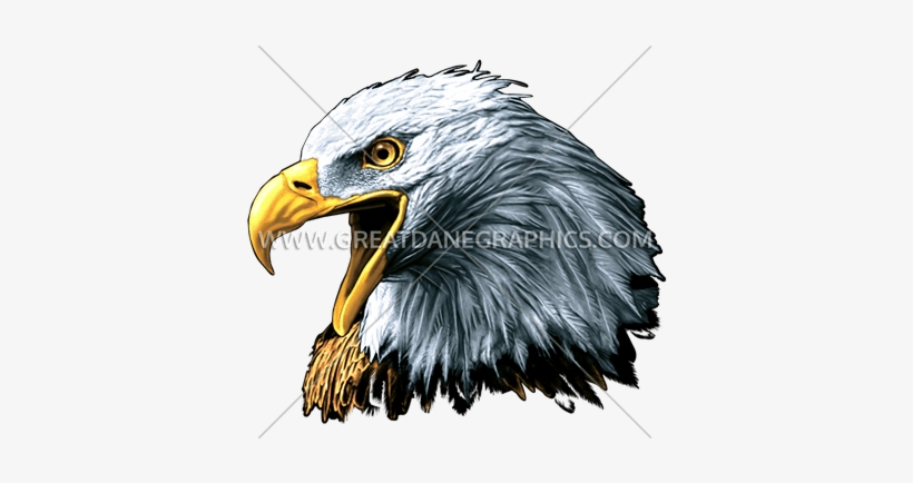 Eagle - God Bless The Usa 6" X 12" Metal Patriotic License, transparent png