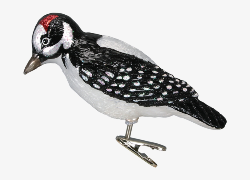 Hairy Woodpecker, transparent png