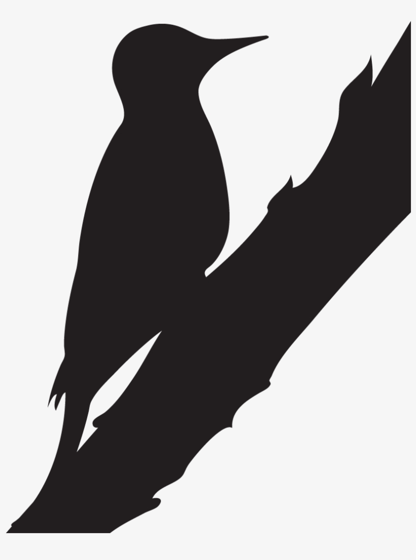 Silhouette Northern Flicker, transparent png