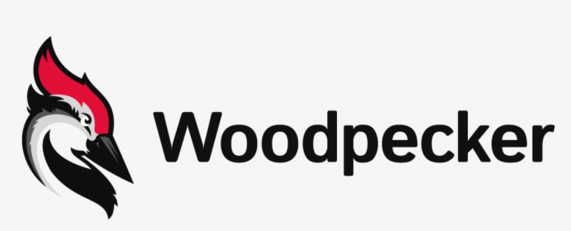 Cold Mailing - Woodpecker Logo Png, transparent png