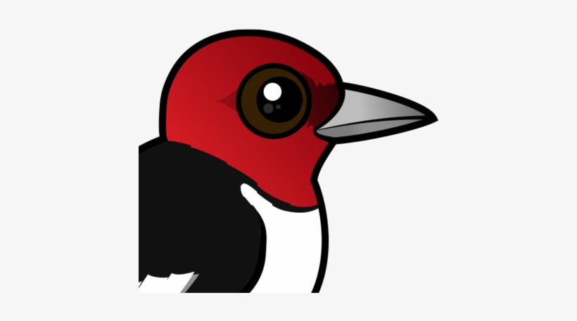 About The Red-headed Woodpecker - Woodpeckers Cartoon, transparent png