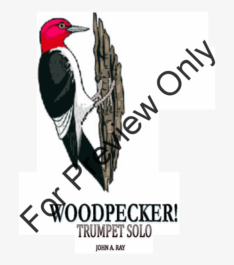 Woodpecker Thumbnail Woodpecker Thumbnail - J.w. Pepper & Son, transparent png
