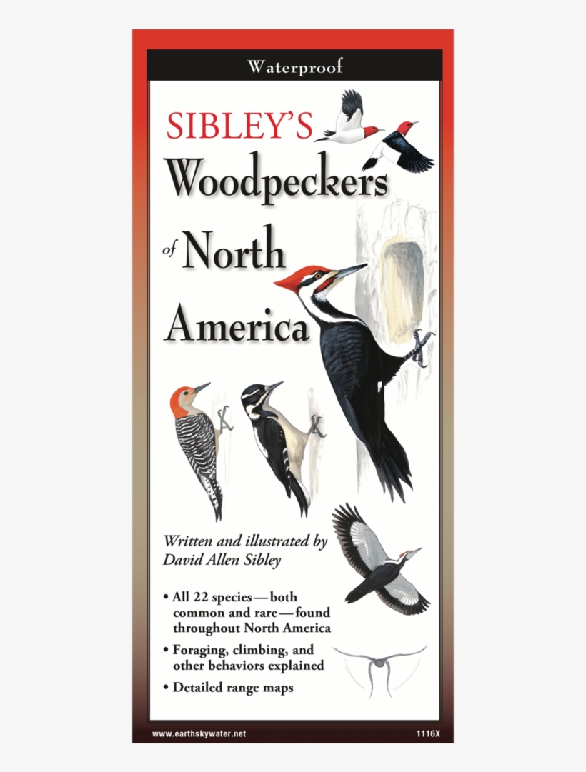 Sibley's Woodpeckers Of North America Folding Guide, transparent png