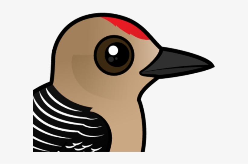 Woodpecker Clipart Two - Zazzle Birdorable Gila Woodpecker Ring, Adult Unisex,, transparent png