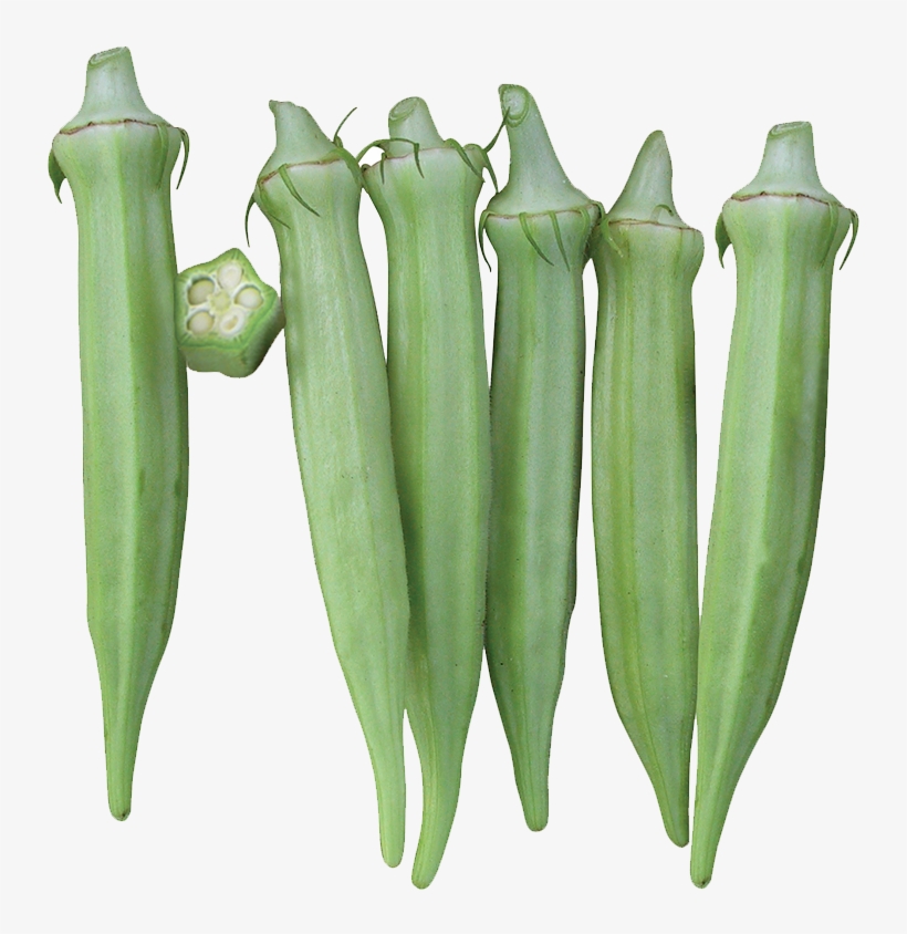 N5 Grand Saga - Moonflower, transparent png