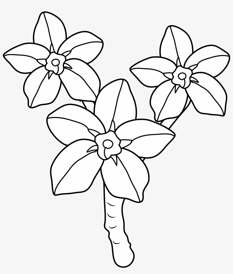 Forget Me Not Clipart Line Drawing - Coloring Book, transparent png