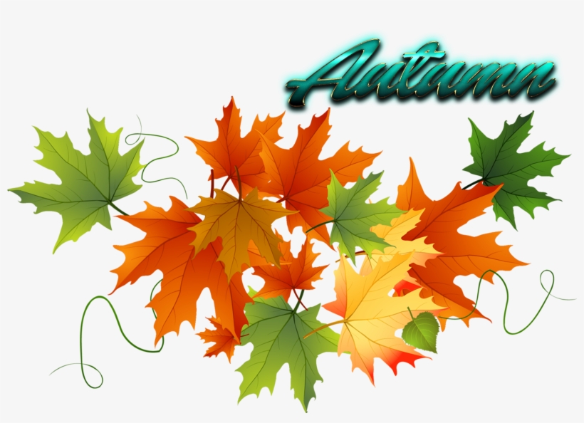 Autumn Leaves Free Png Image - Autumn Leaves Clipart, transparent png