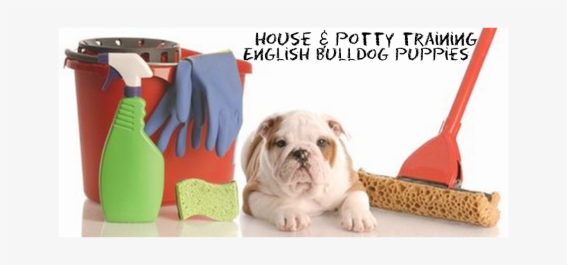 Didn't I Think Of That? - Multiple Uses Of Common Household, transparent png