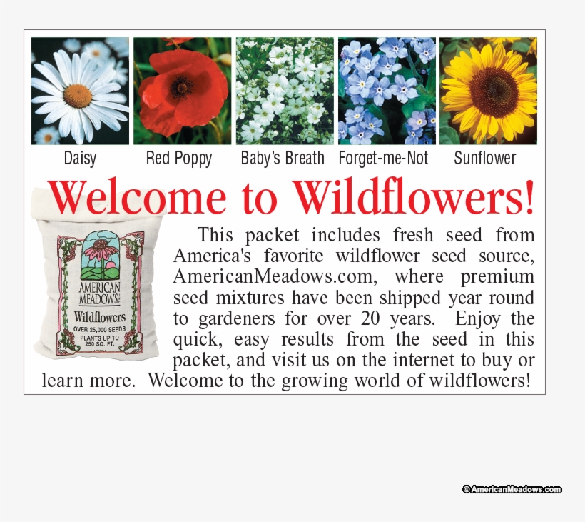 Forget Me Not Seed Packet - Sunflower, transparent png
