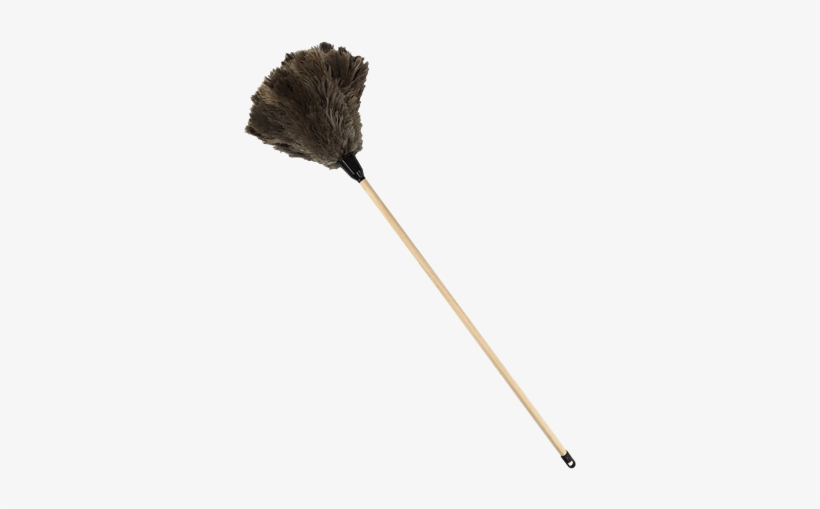 Feather Duster, transparent png