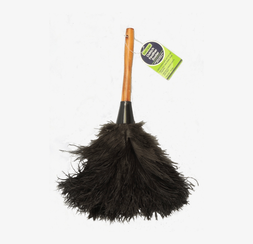 Feather - Royal Ostrich Feather Duster (mini Duster Fb04 (14"),, transparent png