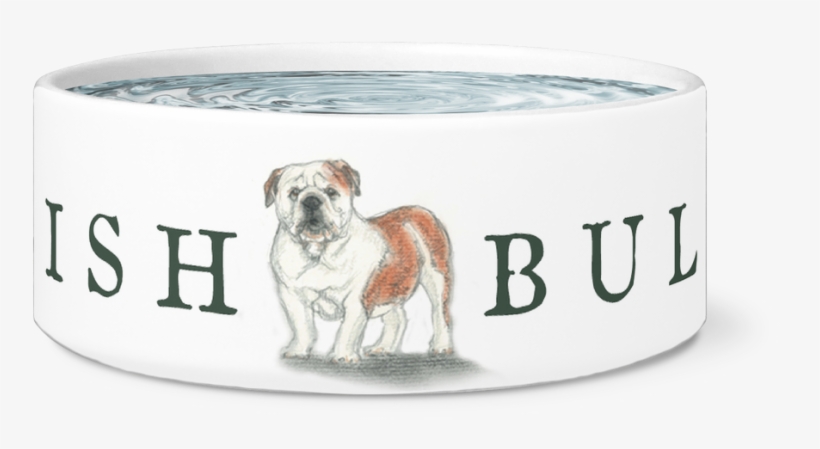 English Bulldog Bowl - I'm The Top Dog Novelty Dog Bowl, For Puppies And Adults, transparent png