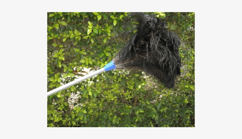 Heavy Duty 2 Piece Extension Ostrich Feather Duster - Product, transparent png