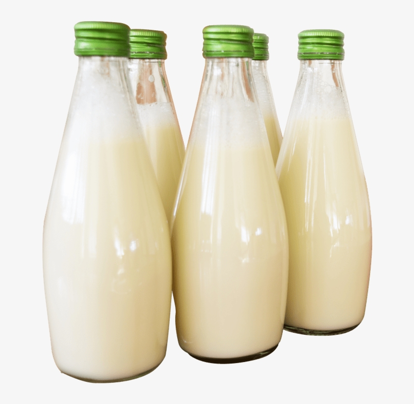 Free Png Milk Bottle Png Images Transparent - Milk In Bottle Png, transparent png