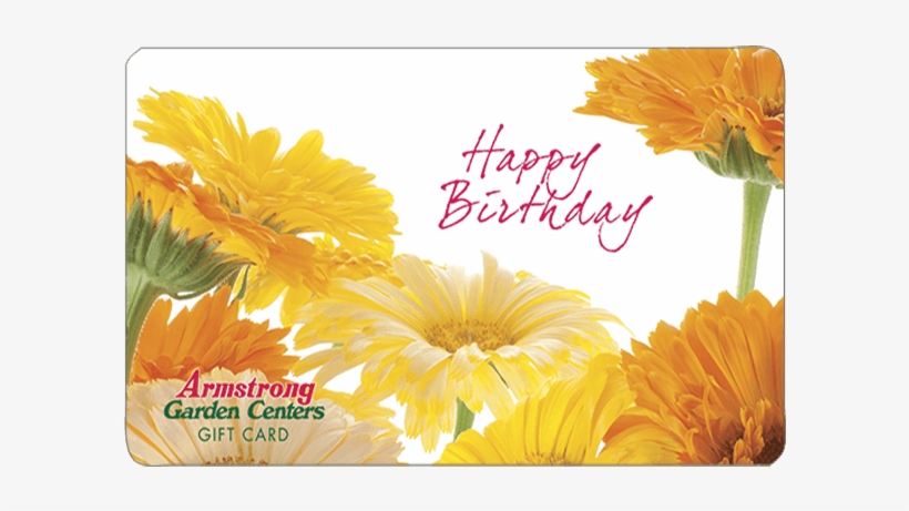 English Marigold, transparent png