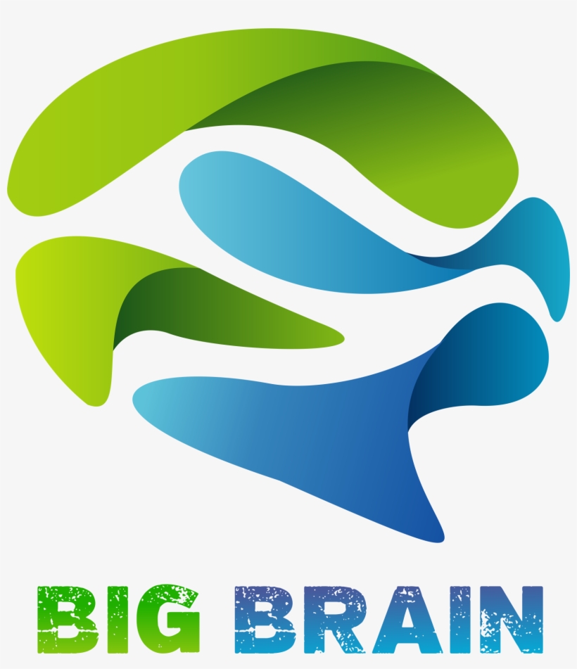 20180220154732bigbrain - Brain, transparent png
