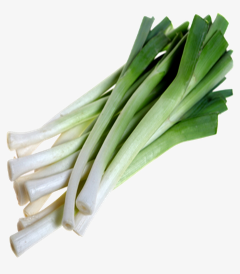 Leek Png - Baby Leek, transparent png