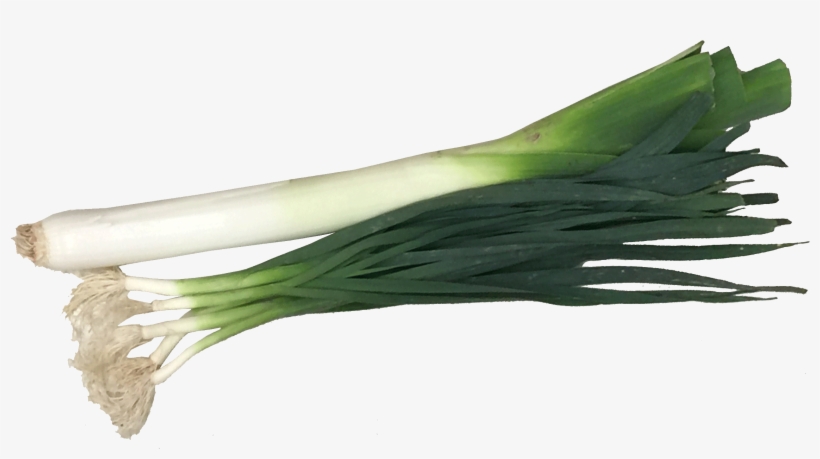 Green Garlic Png, transparent png