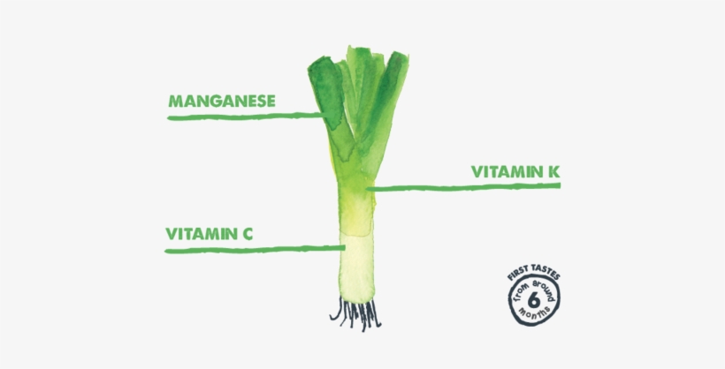 The Piccolo Leek - Piccolo Stage 1 (from 6mth) / Spring Greens Pear &, transparent png
