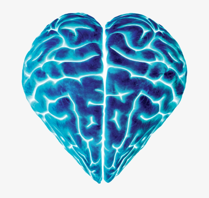 Large Blue Heart Brain Image - Young Neurosurgeon: Lessons From My Patients, transparent png
