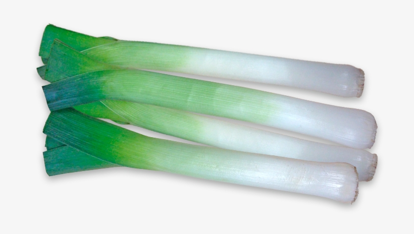 Leek, transparent png